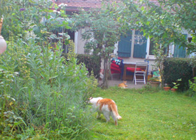 Gartenkonzert2 in Gartenkonzert im Eiernest